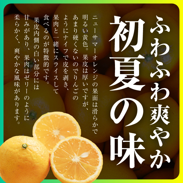 ニューサマーオレンジ収穫中