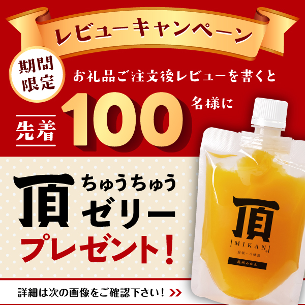 🍊＼レビューでプレゼント🎁／ ✨先着100名様限定✨